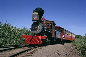 Historic Steam Train Drucke: Steam train from 1860