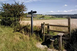 Buckinghamshire Drucke: Stil am Ridgewegs Pfad, Pitstones Hill im Chiltern-Hochland in Buckinghamshire in England