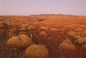 Flinders Ranges National Park Drucke: Stokes Lookout, Flinders Range, South Australia, Australia, Pacific