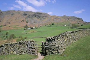 Cumbria Countryside Views Drucke: Stone wall, fields and Lingmoor Fell, Little Langdale, Lake District, Cumbria