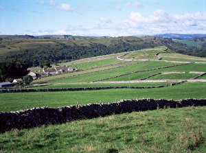 Derbyshire Countryside Drucke: Stone walls and field patterns, Wardlow, Derbyshire, England, United Kingdom, Europe