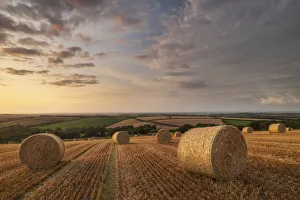 Rohrhalter am Sonnenuntergang im ländlichen Devon bei Livaton in der Grafschaft Devon im Vereinigten Königreich Großbritannien Europäisch