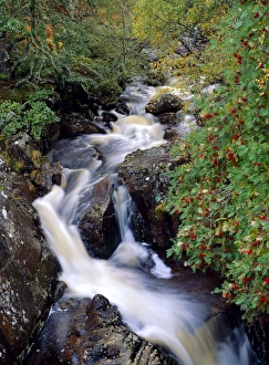 Blurred Motion Waterfall Drucke: Stream, Glen Affric