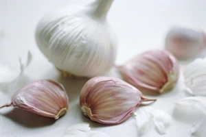 Studio Shot Of Garlic Drucke: Studio shot of a bulb