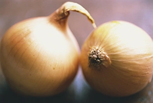 Studio Shot Of Onions Drucke: Studio shot of two onions