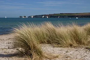 Strand Drucke: Küstenlandschaft Strand und Die Vorwelt oder Hartfestsitzpunkt mit Alt-Harry-Rock