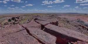 Arizona Landmarks Drucke: The summit of Haystack Mesa in Petrified Forest National Park