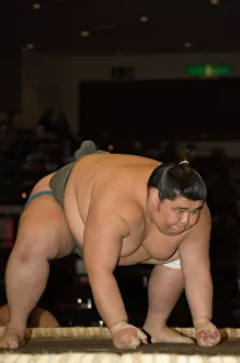 Drucke von Sommerringkampf im Rahmen des Großen Taisai-Sumowettbewerbs in der Kokugikan-Halle im Stadtteil Ryogoku von Tokio Tokio Drucke: Kampfsportler im Sumowresten