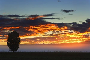 South Island Nature Scene Drucke: Sunrise, Alexandra