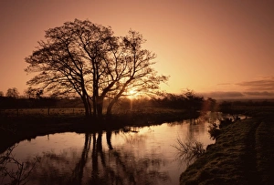 Morning Light On Waterway Drucke: Sunrise over the River Wey, Send, Surrey, England, United Kingdom, Europe