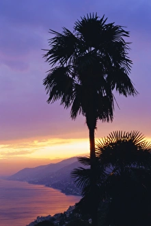 Liguria Italy Landscape Photography Drucke: Sunset, Camogli