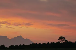 Table Mountain Sunset Drucke: Sunset over Table Mountain, Stellenbosch, Western Cape, South Africa, Africa