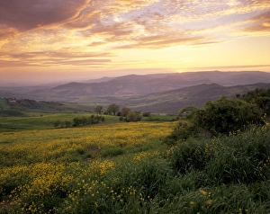 Sunset In Europe Drucke: Sunset over Val d Orcia