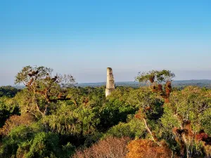 Drucke von Sonnenuntergangsblick auf Tempel III aus erhöhter Position, zeigt Tikal in Petén, Guatemala Verwandte Bilder Drucke: Sonnenuntergangsblick auf Tempel III aus erhöhter Position