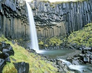 Icelandic Nature Tourism Drucke: Svartifoss waterfall