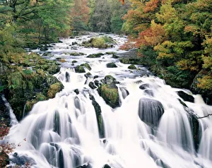 Drucke von Die Schwelle fällt ab, Betws-y-coed, Gwynedd, Wales Conwy Drucke: Die Schwelle fällt