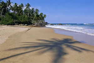 Tranquil Waterfront View Drucke: Tangalla beach