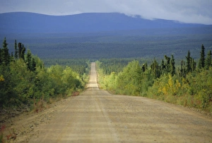 North America Nature Images Drucke: Taylor Highway