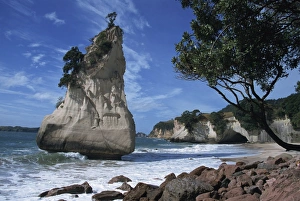 Cathedral Cove New Zealand Drucke: Te Horo rock