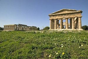 Ancient Greek Temples Italy Drucke: Temple of Hera (Basilica) left