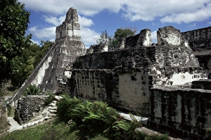 Tikal Temple I Drucke: Temple I, Tikal