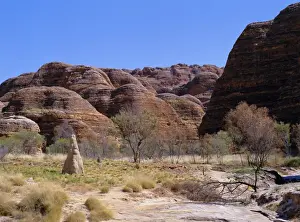 Australian Outback Scenery Drucke: Termite mound, grasses and trees with typical rounded rocks in the background