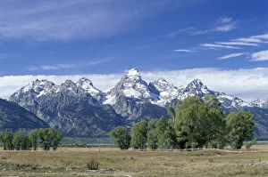 Wyoming Mountains Drucke: Teton Mountain Range