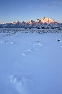 Mountainous Beauty In Nature Drucke: The Teton Range at first light after a fresh snow