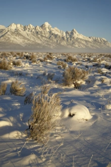 Wyoming Winter Landscapes Drucke: Teton range in winter