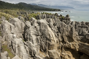New Zealand Geology Drucke: Thin-bedded Oligocene Cobden limestone, Punakaiki, Pancake Rocks, Greymouth, South Island