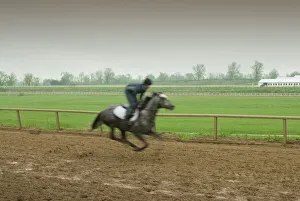 Drucke von Das Vollblutzentrum, Lexington, Kentucky, Vereinigte Staaten von Amerika, Nordamerika Kentucky Drucke: Das Thoroughbred Center