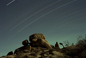 Joshua Tree Rock Formations Drucke: Time exposure at night