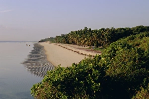 African Beach Destinations Drucke: Tiwi Beach