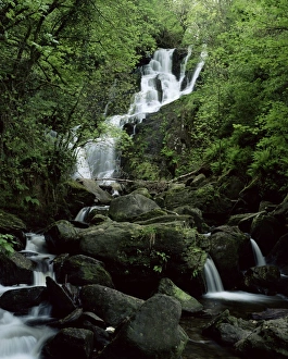 Contemporary Irish Landscapes Drucke: Torc Waterfall