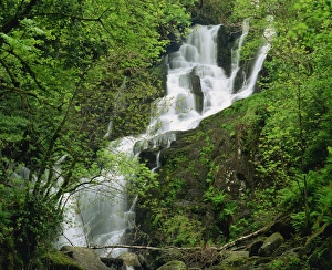 Torc Waterfall Ireland Drucke: Torc Waterfall at Killarney