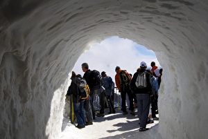 Chamonix Mont Blanc Drucke: Tourist on viewing platform