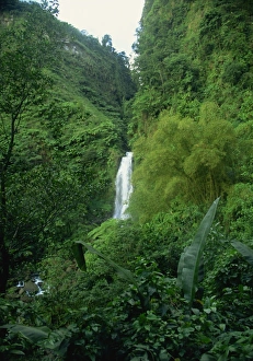 Windward Islands Travel Destination Drucke: Trafalgar Falls