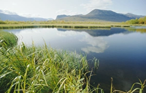 Arctic Nature Scene Drucke: Tranquil landscape