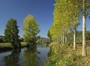 European Water Reflections Drucke: Tranquil scene of trees reflected in water, along the banks of the River Sarthe near St