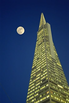 Full Moon Photography Drucke: The Transamerica Pyramid, illuminated at dusk with full moon