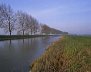 Dutch Waterways Drucke: Tree-lined canal