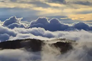 American Nature Scene Drucke: Tree studded ridges, fog and clouds of a partial temperature inversion