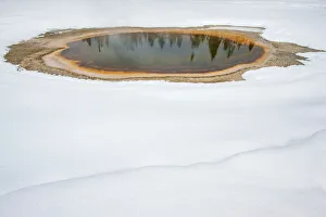 Wyoming Winter Landscapes Drucke: Trees reflected in thermal feature in the snow, Yellowstone National Park
