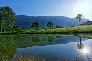 Minas Gerais State Brazil Drucke: Trees reflecting in a pond, Serra da Canastra, Minas Gerais state, Brazil, South America