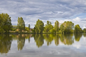 French Tourist Attractions Drucke: Trees reflecting in the River Dordogne, Dordogne, France, Europe
