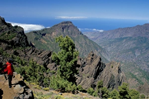 Canary Islands Hiking Trails Drucke: Trekker looking at surrounding landscape, Parque Nacional de la Caldera de Taburiente