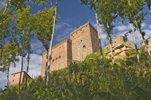 Trifels Castle Drucke: Trifels Castle