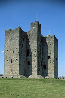 Irish Castle Photography Drucke: Trim castle