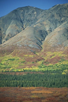 North America National Park Drucke: Tundra, Broad Pass