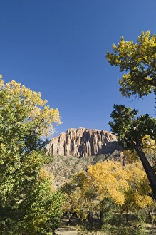 Zion National Park Photography Drucke: _TUW7107